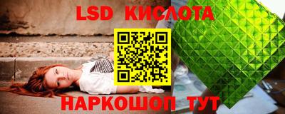 стаф Донецк
