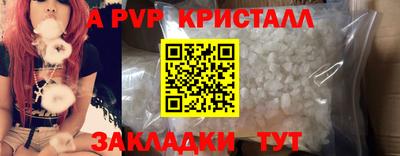 стаф Донецк
