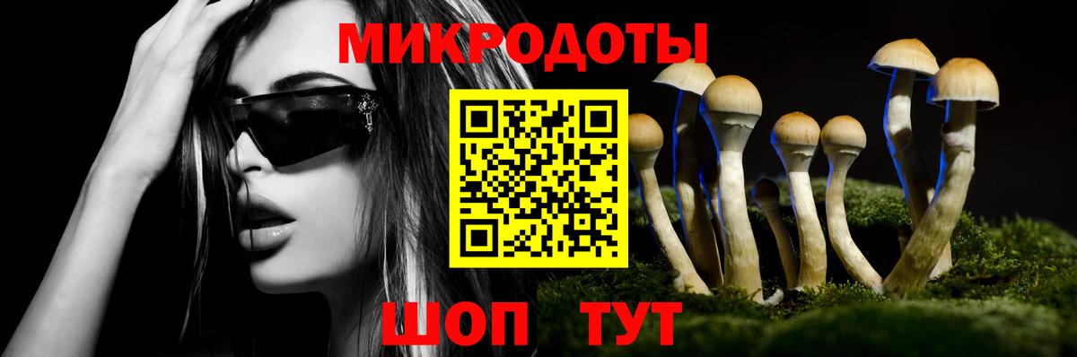Малгобек  Псилоцибиновые грибы ЛСД  Вход с VPN 